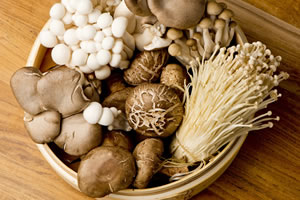 Medicinal Mushrooms-Boost Your Immune System and More!